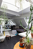 Living room in the attic with indoor plants and skylight