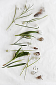 White early blooming bulb flowers, eggs, and feathers on a white background