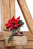 Red poinsettia with decorations