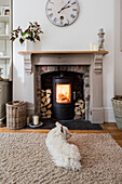 Bright living room with wood-burning stove and wood storage, dog on fluffy carpet