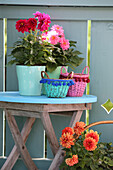 Dahlias and colourful baskets with pompom trim