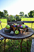 Flower arrangements with apples in flower pots on garden table