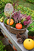 Heather and pumpkins in a basket on a bench