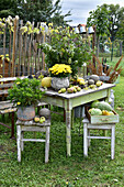 Herbsttisch mit Kürbissen, Äpfeln, Kastanien und Steingefäßen