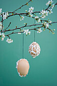Easter decoration, Easter egg with eggshells hanging on twig