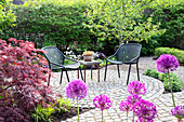 Round seating area with paving stones, red maple in the foreground and flowering allium in the garden