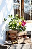 Wooden box with spring flowers
