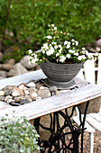 Old sewing machine table with flower bowl and stones