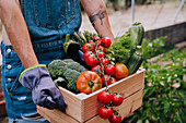 Nahaufnahme einer Frau, die eine Holzkiste mit verschiedenem Gemüse hält, während sie im Gemeinschaftsgarten steht