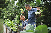 Glücklicher Vater und Sohn ernten Wurzelgemüse aus Hochbeet im Garten