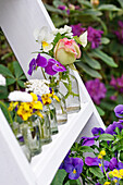 Violas and cream and pink rose in glass bottles on ladder
