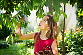 Portrait of little girl picking cherries