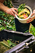 Reifer Mann, der Küchenabfälle auf Komposthaufen entsorgt