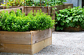 Raised beds of different heights