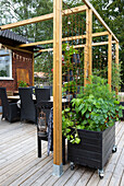 Black lacquered mobile raised bed on wooden terrace with pergola