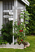 Signpost in garden