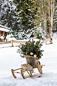 Winter bouquet with jute ribbon in a tin bucket on a sledge in the snow