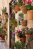 Mediterranean garden with potted plants mounted on outside wall