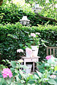 Holztischchen mit rosa Hortensien (Hydrangea) im sommerlichen Garten