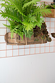 Holzkistchen mit Zimmerpflanzen an kupferfarbenem Wandgitter