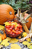 Autumnal arrangement with physalis, pumpkins, corncobs and foliage