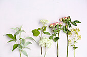 Blütentableau: Himbeerzweig, Hortensien, Rosen und Frauenmantel