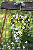 Heart-shaped wreath of ox-eye daisies