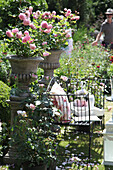 Metal garden bench in front of urns of pink roses