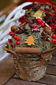 Advent arrangement in birch bark pot with cinnamon sticks, berries and star anis