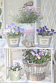 Spring arrangement of violas in baskets, white painted wine create and angel figurine