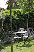 Table and chairs in front garden with sweetgum tree, roses and catmint