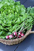 Freshly harvested lettuce and radishes in a wicker basket