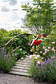 Wooden bridge surrounded by blooming roses and perennials