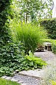 Well-kept garden area with climbing plants, ornamental grasses and a sitting stone