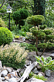 Landscaped garden with ornamental shrubs, stones and a birdhouse