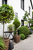 Various topiary plants arranged against house wall
