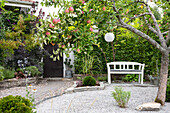 Apfelbaum und Sitzbank in einem Kiesgarten mit Zierpflanzen