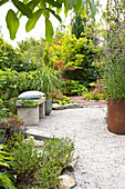 Winding garden path with stone bench and diverse planting