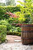 Wooden barrel as planter next to gravel path in green garden