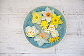 Spring-like flowers in a bowl on a wooden table