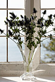 Vase and cut flowers (Echinopsis) on windowsill of Devon beach house
