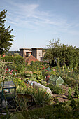 Vegetable garden in Arundel, West Sussex