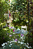 Afternoon tea in garden of Brighton home, Sussex, England, UK