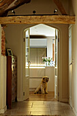 Dog sits in kitchen with view through double doors of West Sussex home, England, UK
