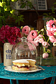 Victoria sponge cake with cut flowers in Lincolnshire home, England, UK