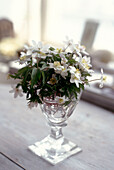 Detail of white flowers in glass vase