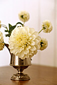 Yellow dahlia silver vase interiors detail flowers arrangements
