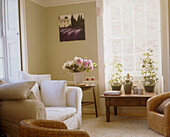 Traditionelles Wohnzimmer mit weißem Sofa und mehreren Topfpflanzen auf einem kleinen Holztisch vor einem Fenster