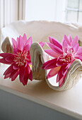 Detail of a pair of pink flowers on a bathroom window ledge
