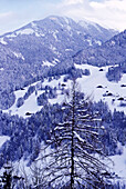 Blick vom schweizer Chalet auf die schneebedeckten Berge